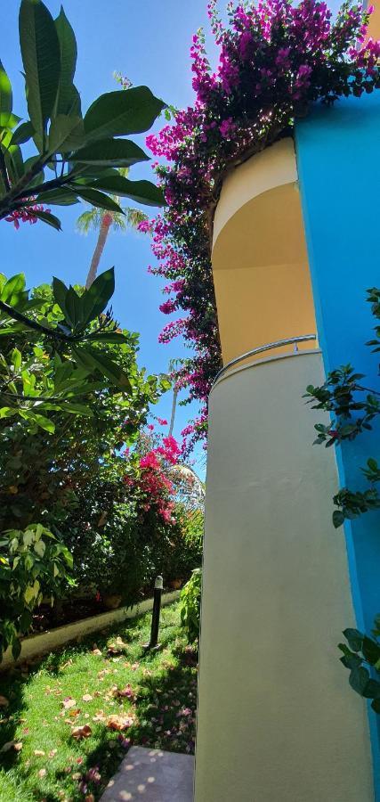 Apartment Alsol Don Palomon *