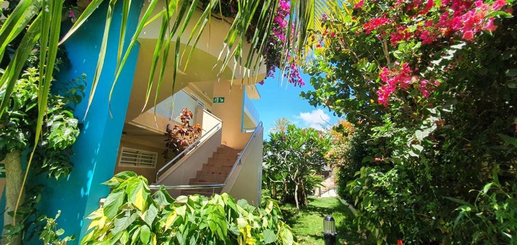 Alsol Don Palomon Apartment
