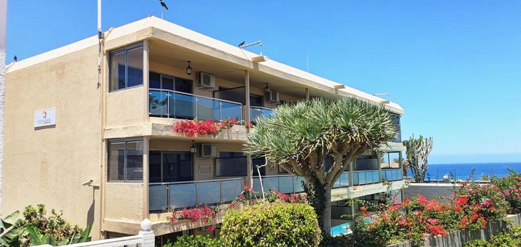 Apartment Alsol Don Palomon *