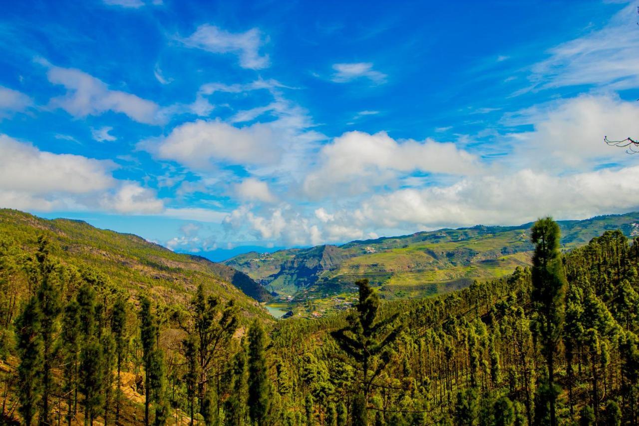 Valley Views In Agaete Apartment Agaete (Gran Canaria)
