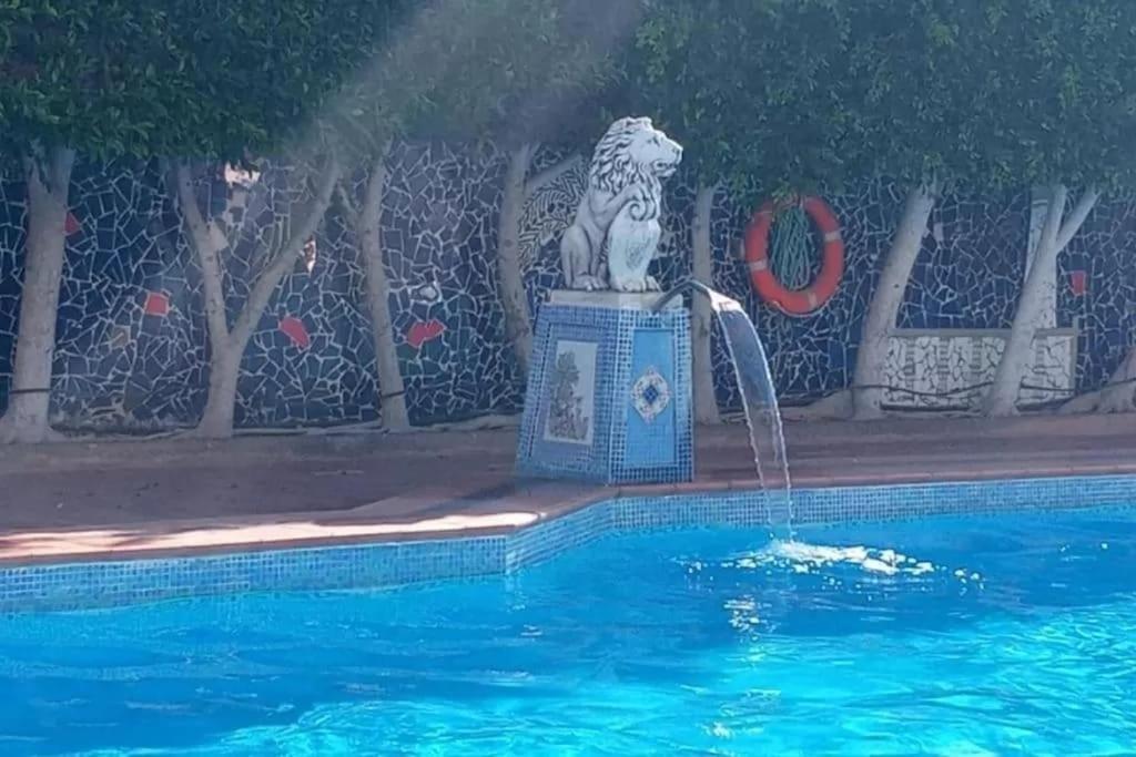 Surycan El Dorado 5th Floor Apartment *