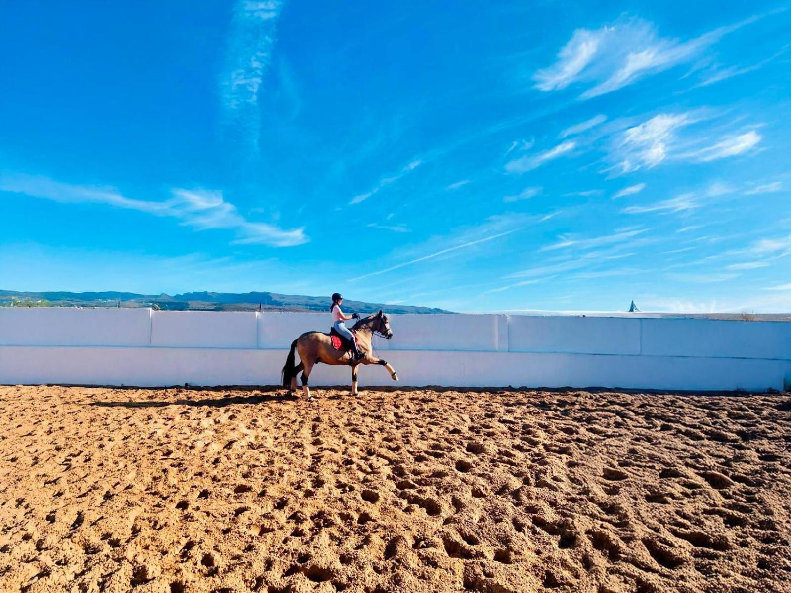 Paradise Farm Salobre * Salobre (Gran Canaria)