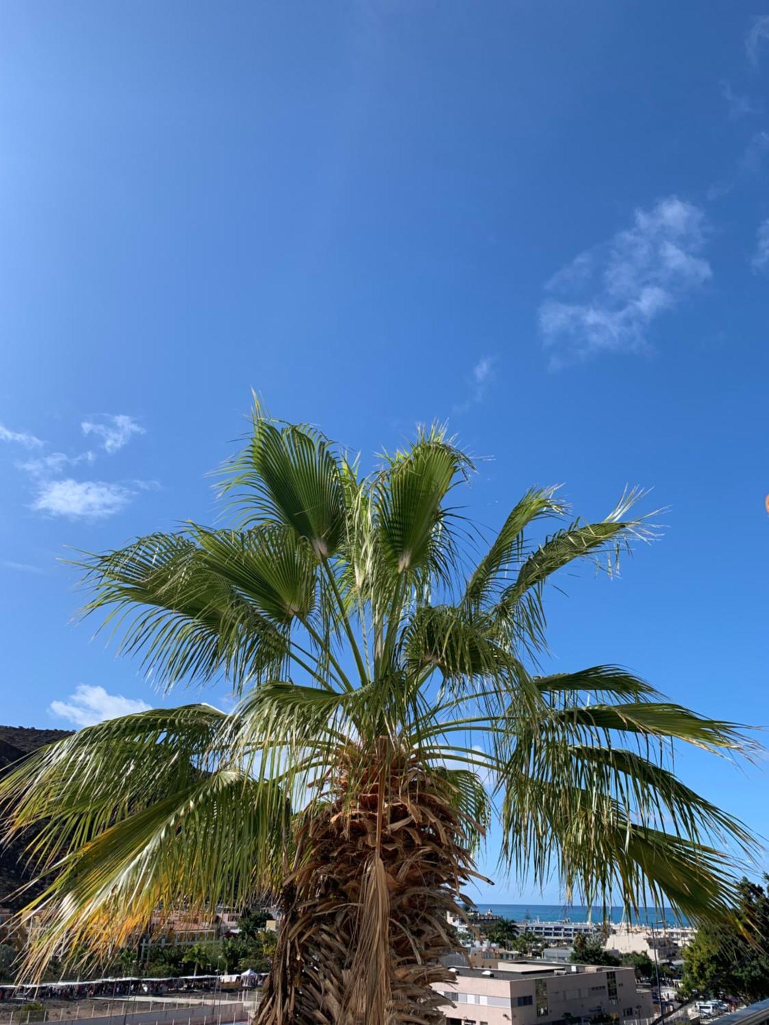 New Seaviews Puerto Apartment