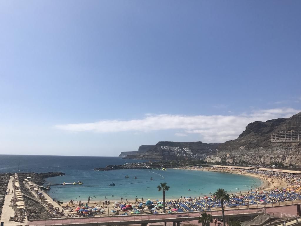 Perla De Amadores