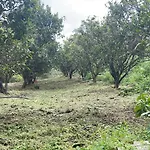 Finca Di Carmen
