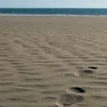 Primera Linea De Playa De Las Burras