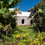 Villa Canaria Piscina Jacuzzi Jardin