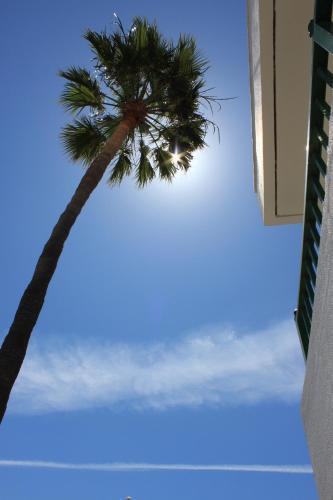 Bellimar * San Agustin (Gran Canaria)