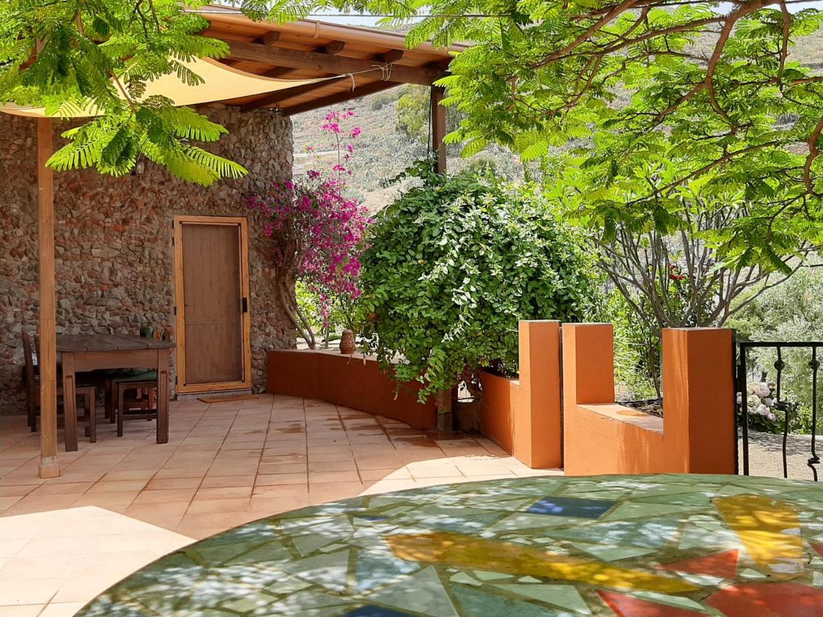 Casa de férias Peaceful House Set On A Vineyard & Work Friendly