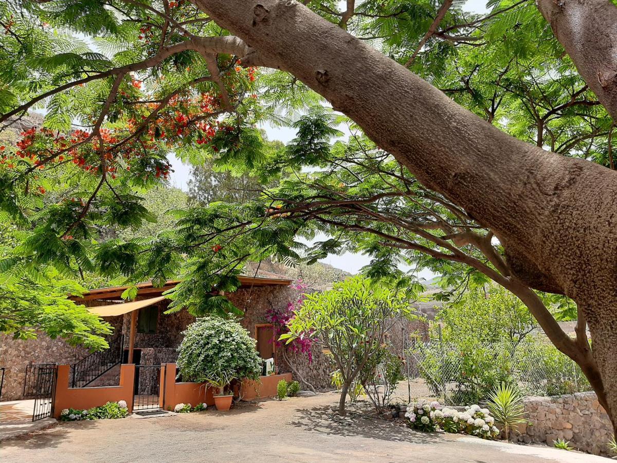 Casa de férias Peaceful House Set On A Vineyard & Work Friendly