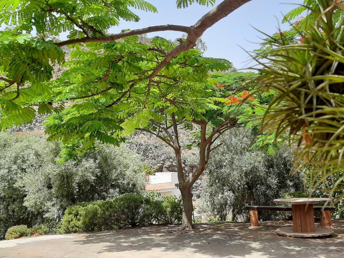 Peaceful House Set On A Vineyard & Work Friendly * Valsequillo