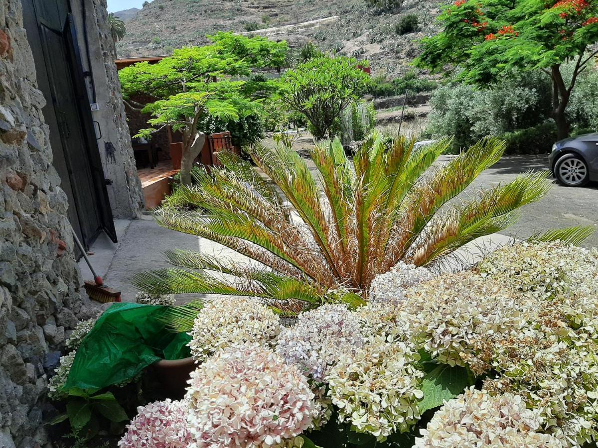 Peaceful House Set On A Vineyard & Work Friendly Valsequillo