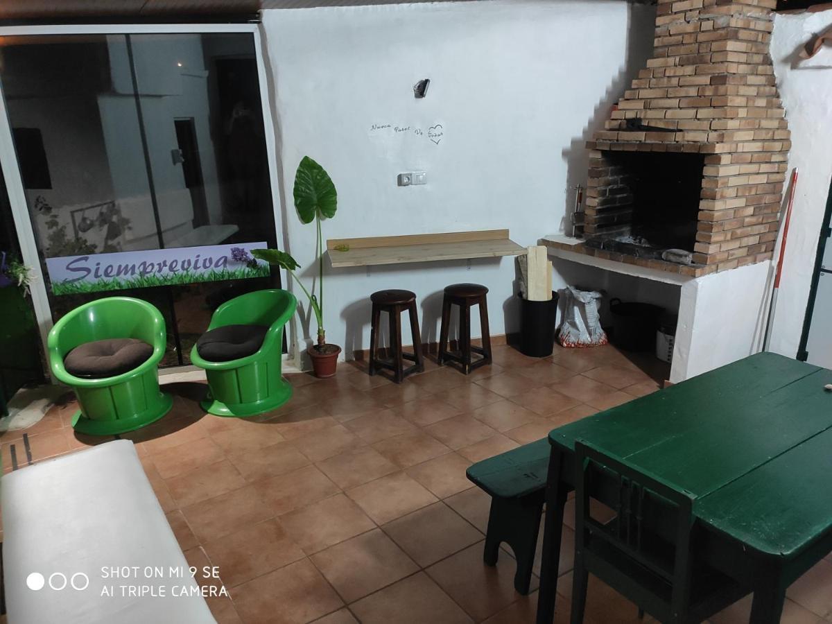 Siempreviva * Las Palmas de Gran Canaria