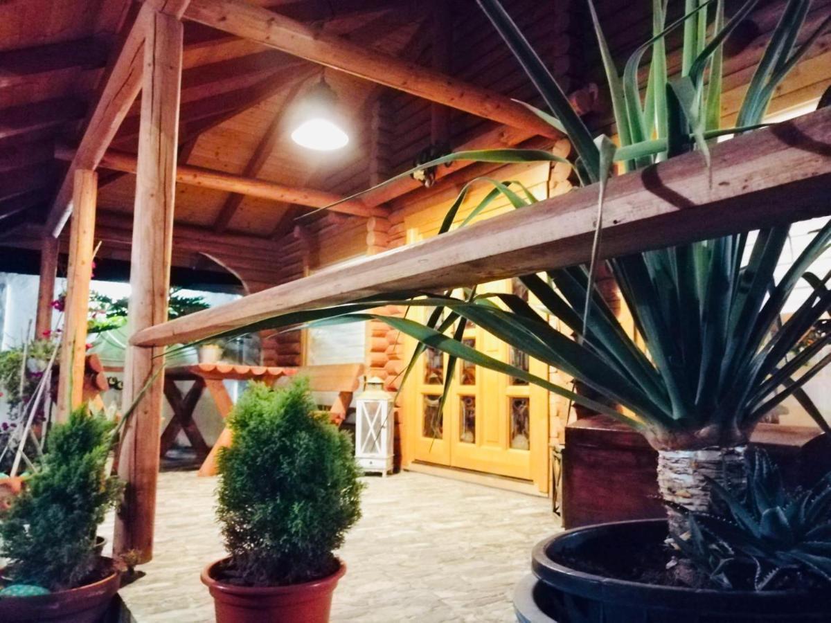 Wild House Las Palmas de Gran Canaria