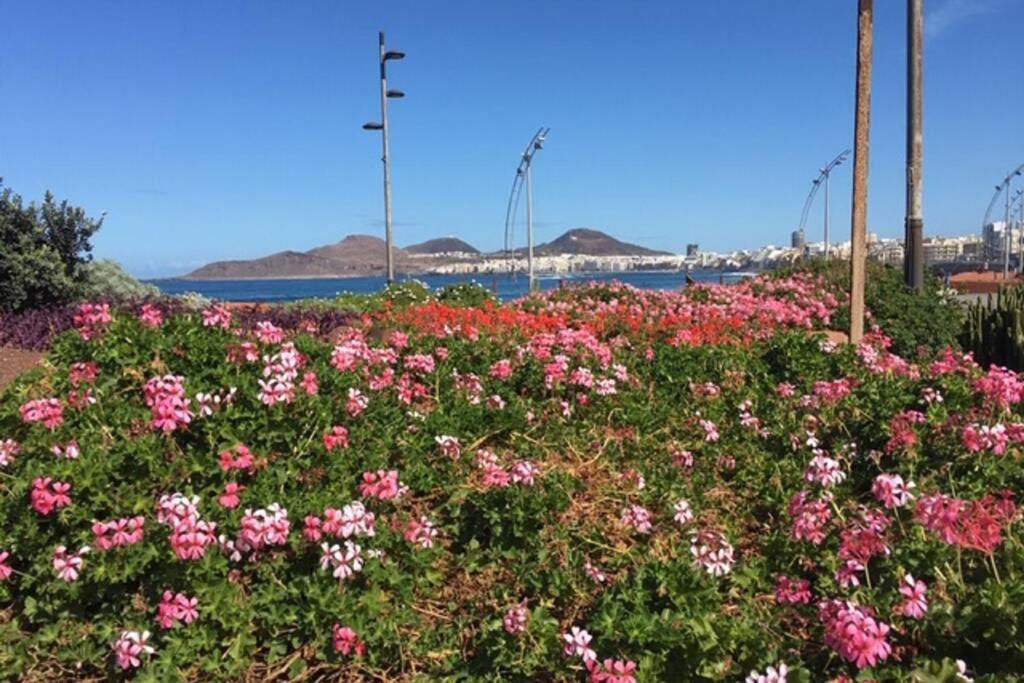 El Atico De Mateo 5a Las Palmas de Gran Canaria