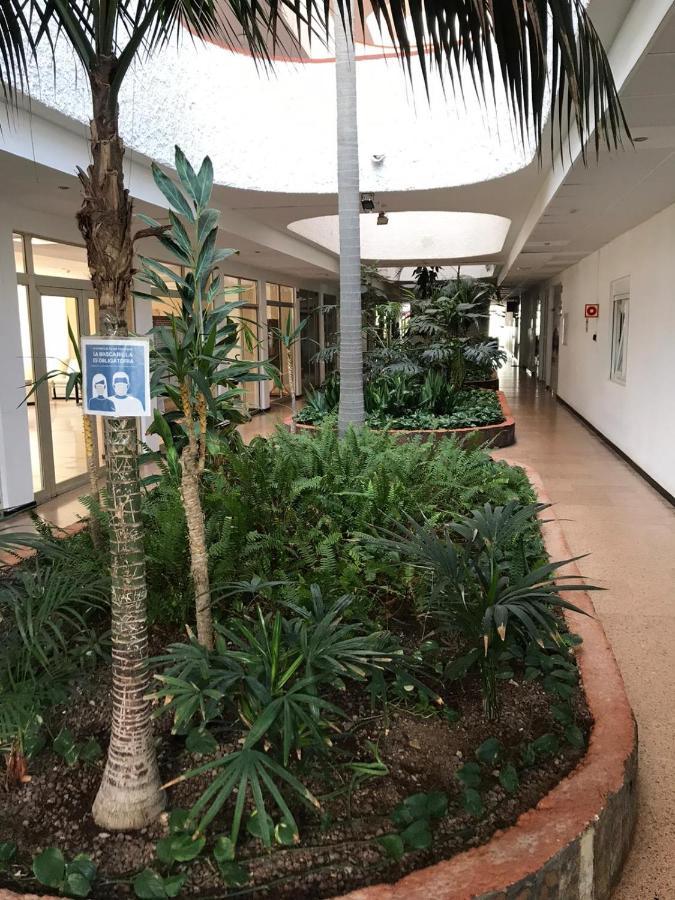 Apartmento Vista Del Mar Tinache * San Bartolome de Tirajana (Gran Canaria)