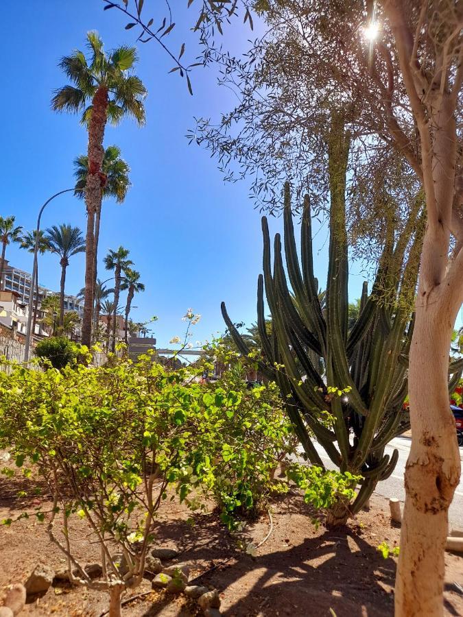 Vista Bella - Planta Baja Al Lado De La Piscina - Ground Floor By The Pool Apartment *