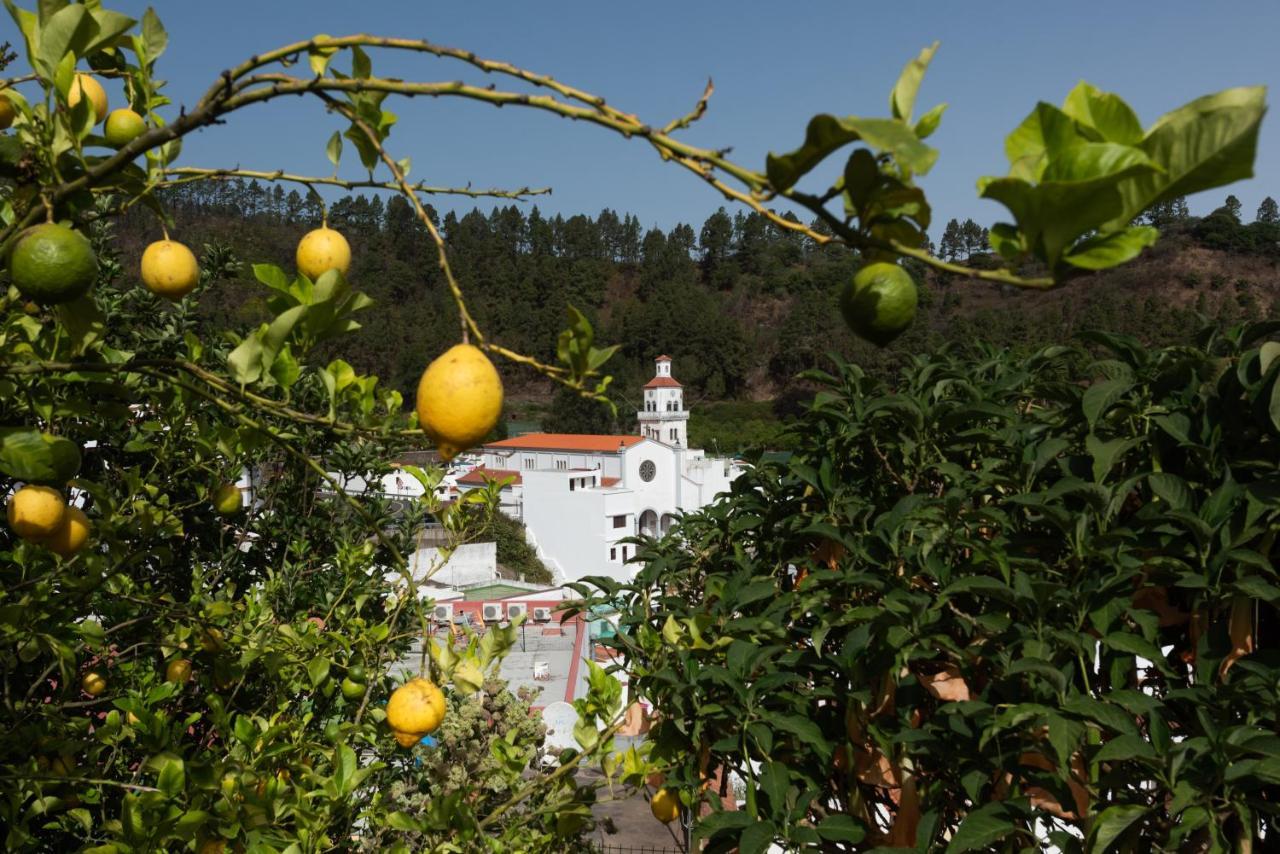 El Alto Moya (Gran Canaria)