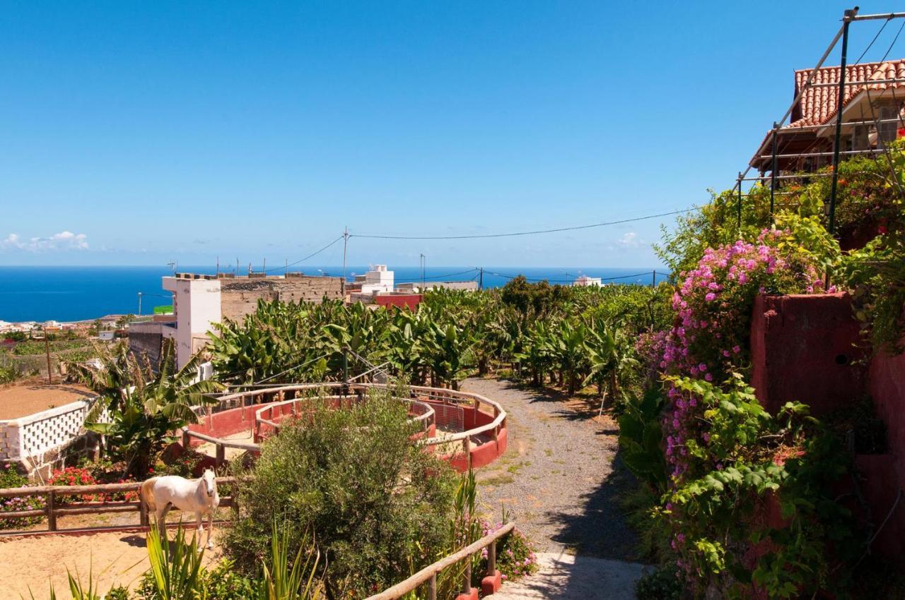 Traditional By Villagrancanaria *