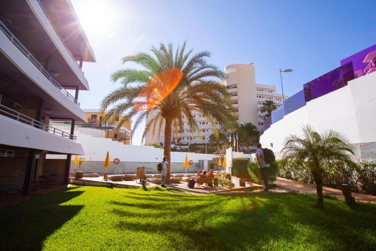 Jacarandas * Playa del Ingles (Gran Canaria)