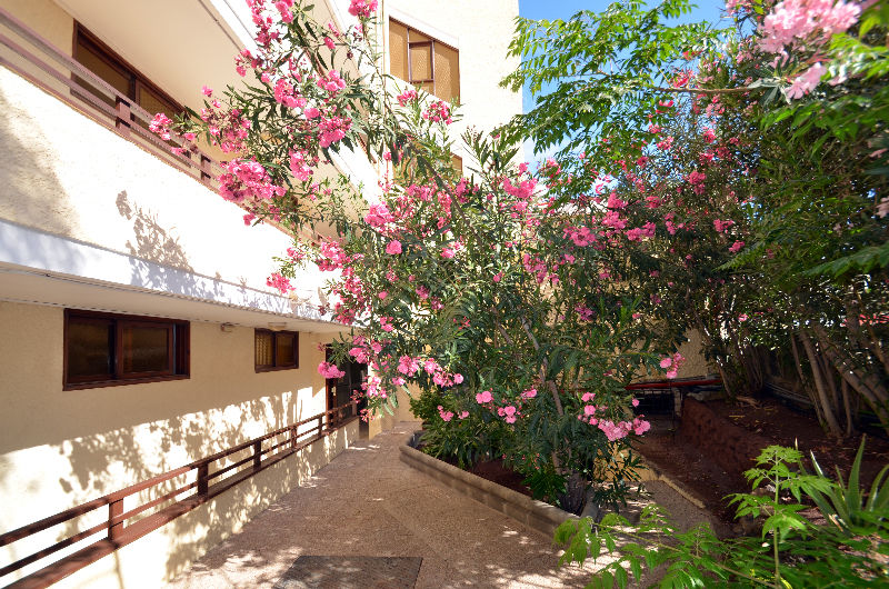 Apartment Juncos I