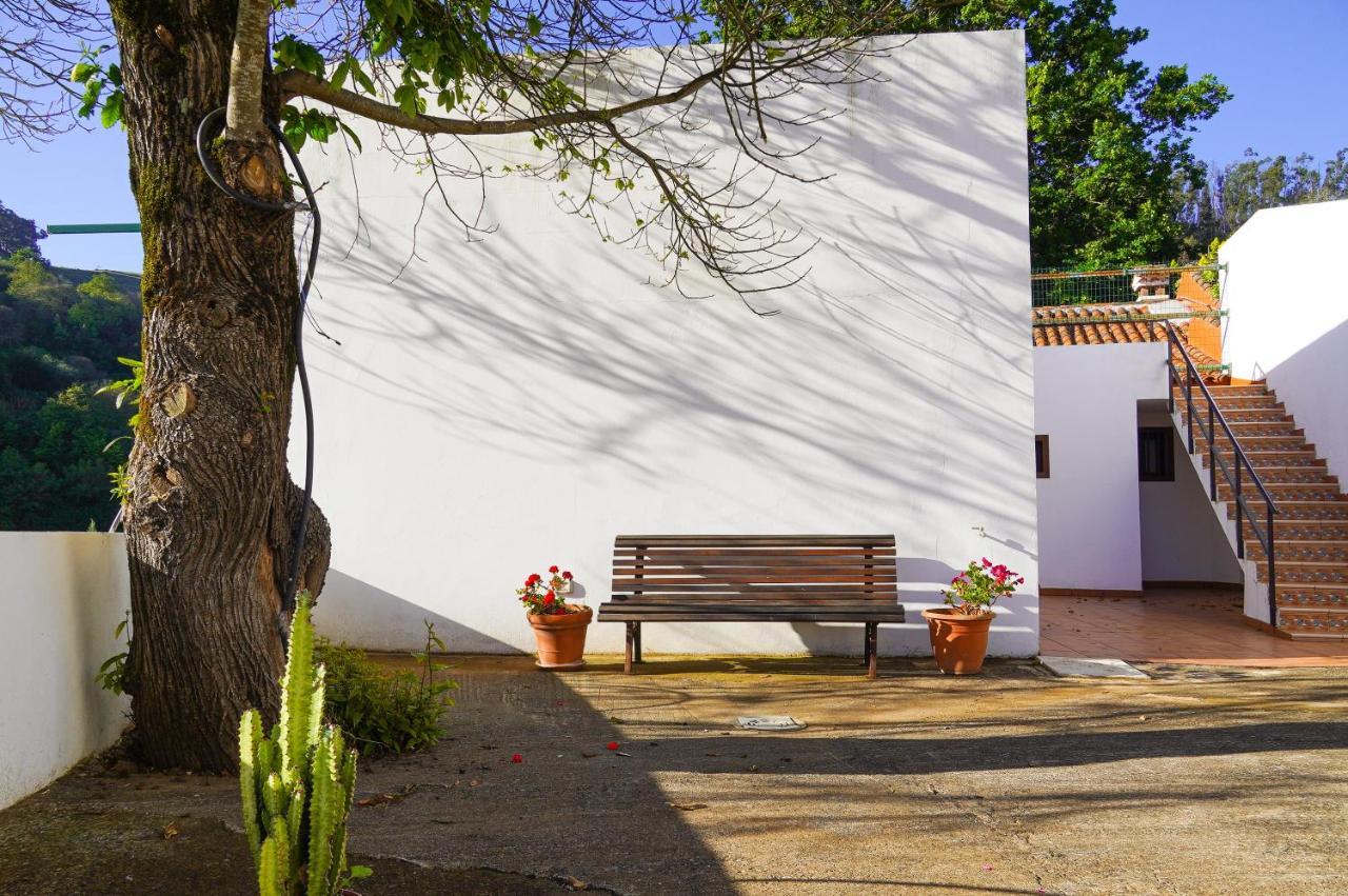 El Alto Moya (Gran Canaria)