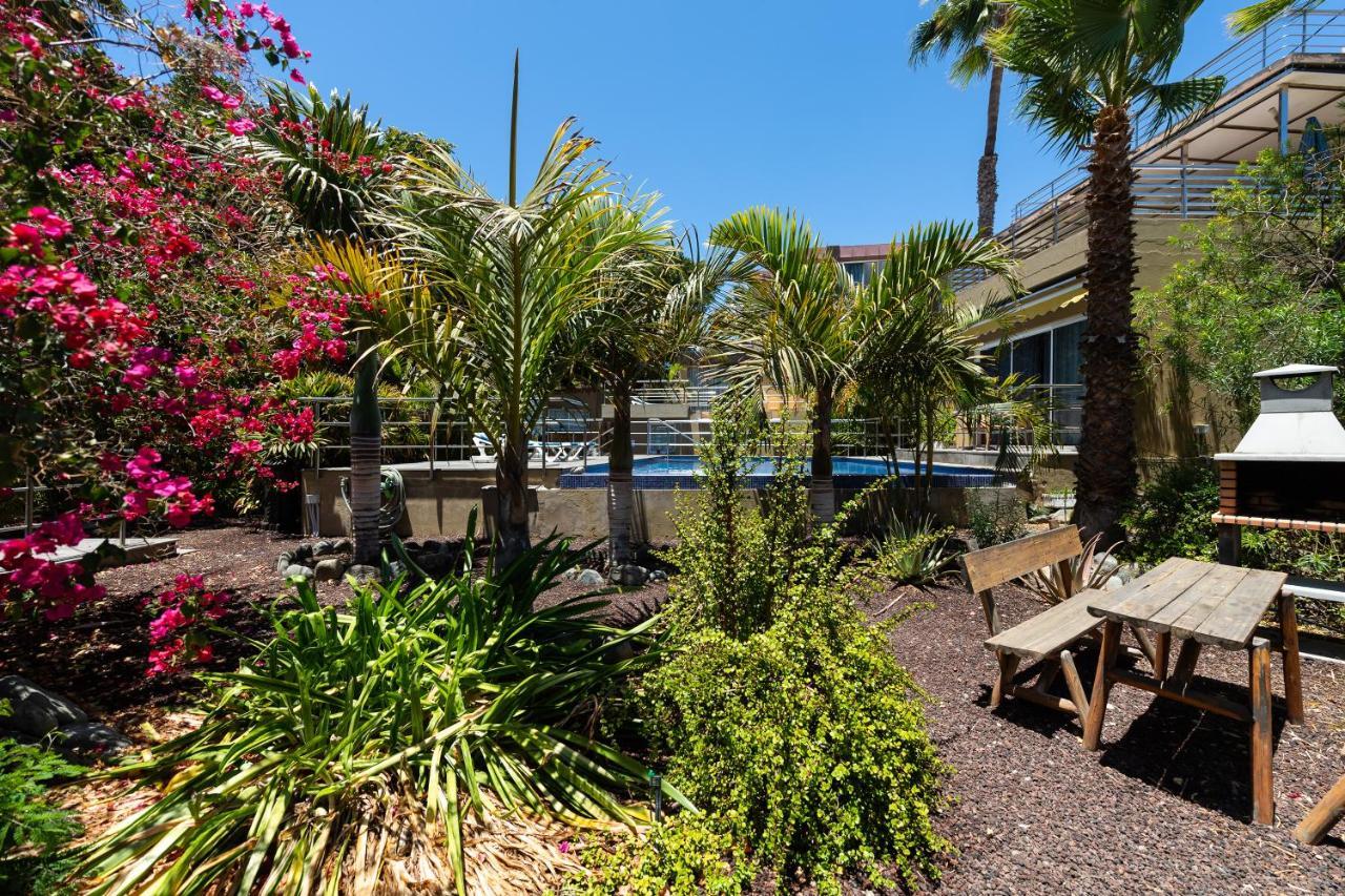 Jardines Del Cura * Playa Del Cura (Gran Canaria)