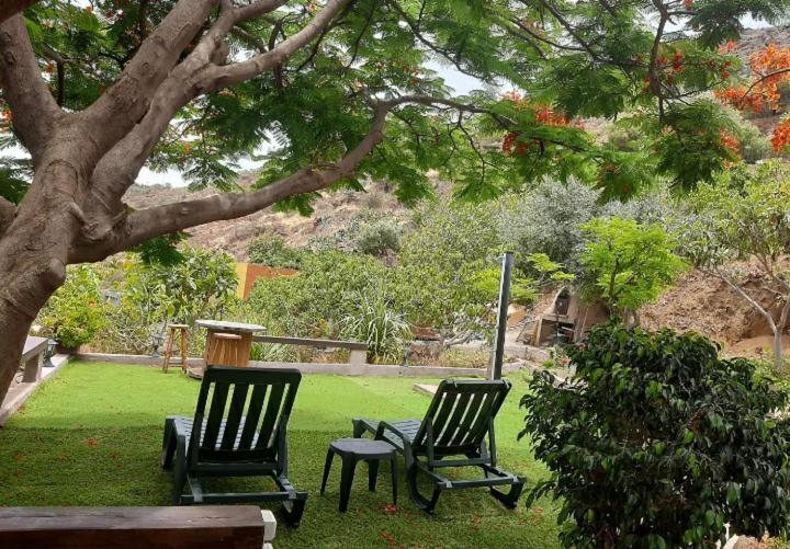 Peaceful House Set On A Vineyard & Work Friendly Casa de férias *