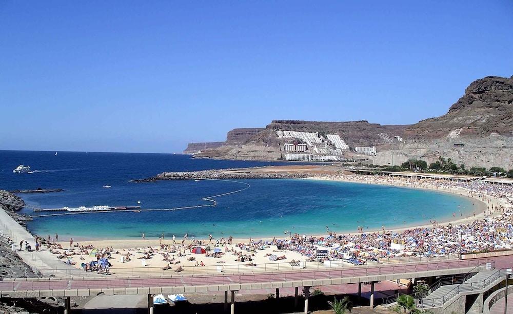 Chatur Palmera Mar Amadores