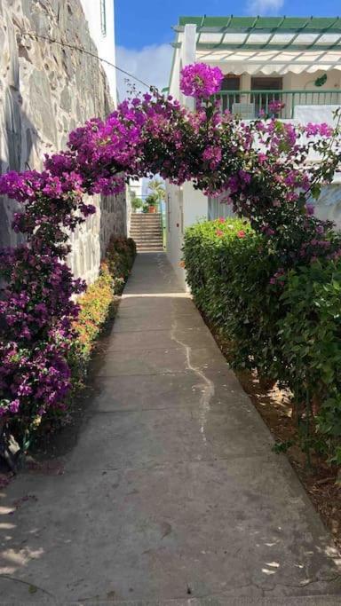 Vista Mar En Flamboyan - San Agustín Apartamento San Bartolomé