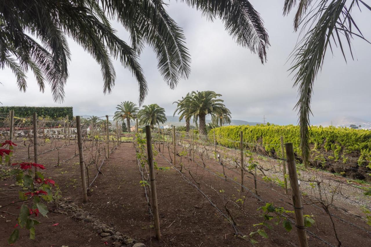 Paredones Farm - Private Pool - Garden Holiday home