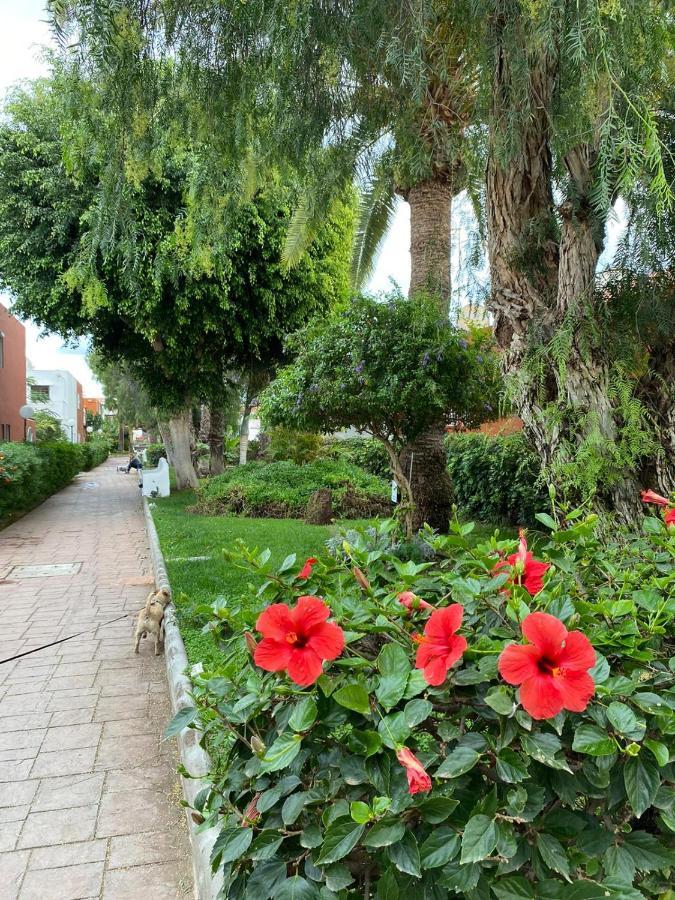 Casa Armonia Del Sol Ferienhaus