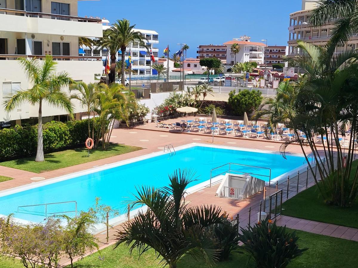 Camelias * Playa del Ingles (Gran Canaria)