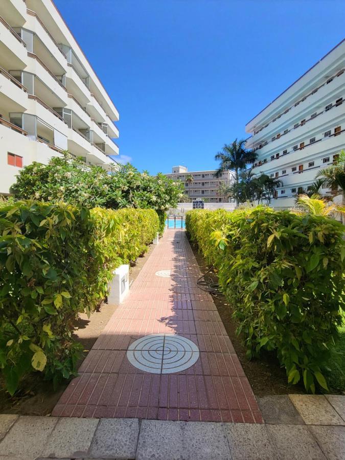 Aparthotel Camelias