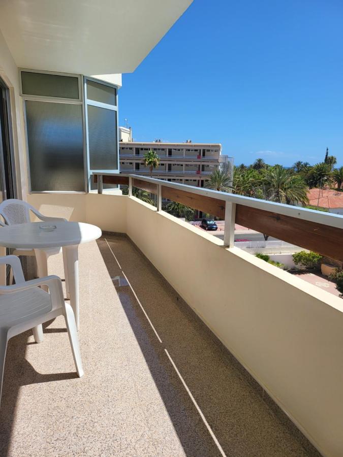 Camelias * Playa del Ingles (Gran Canaria)