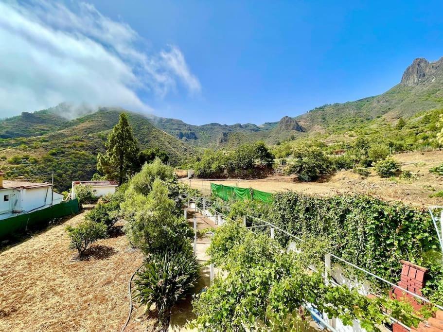 Tenteniguada Enjoy Nature Ferienhaus Las Palmas / Gran Canaria