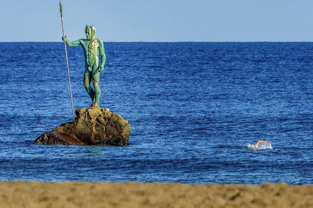 Taliarte Vibbecanarias