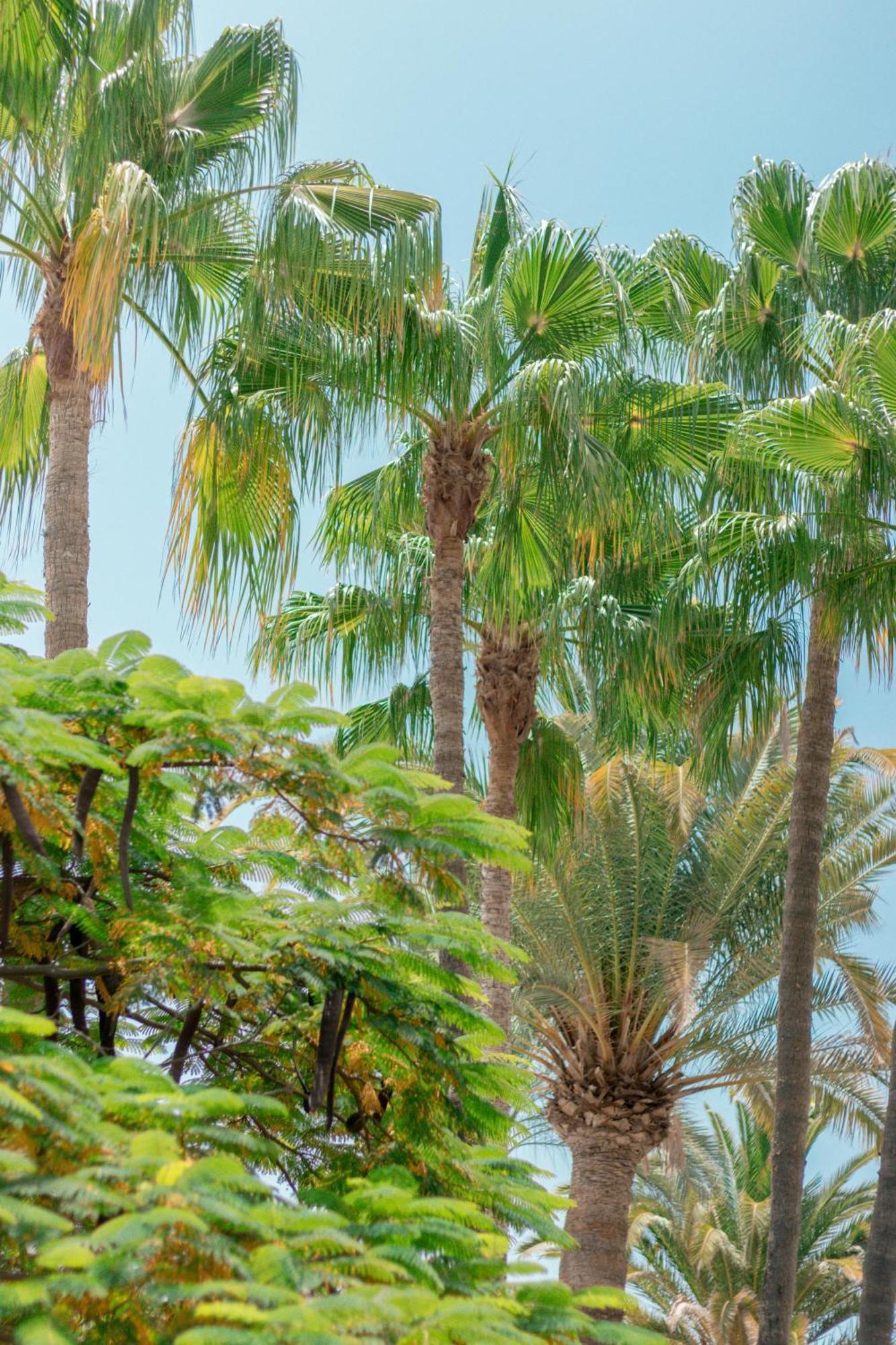 Apartamento El Palmar *