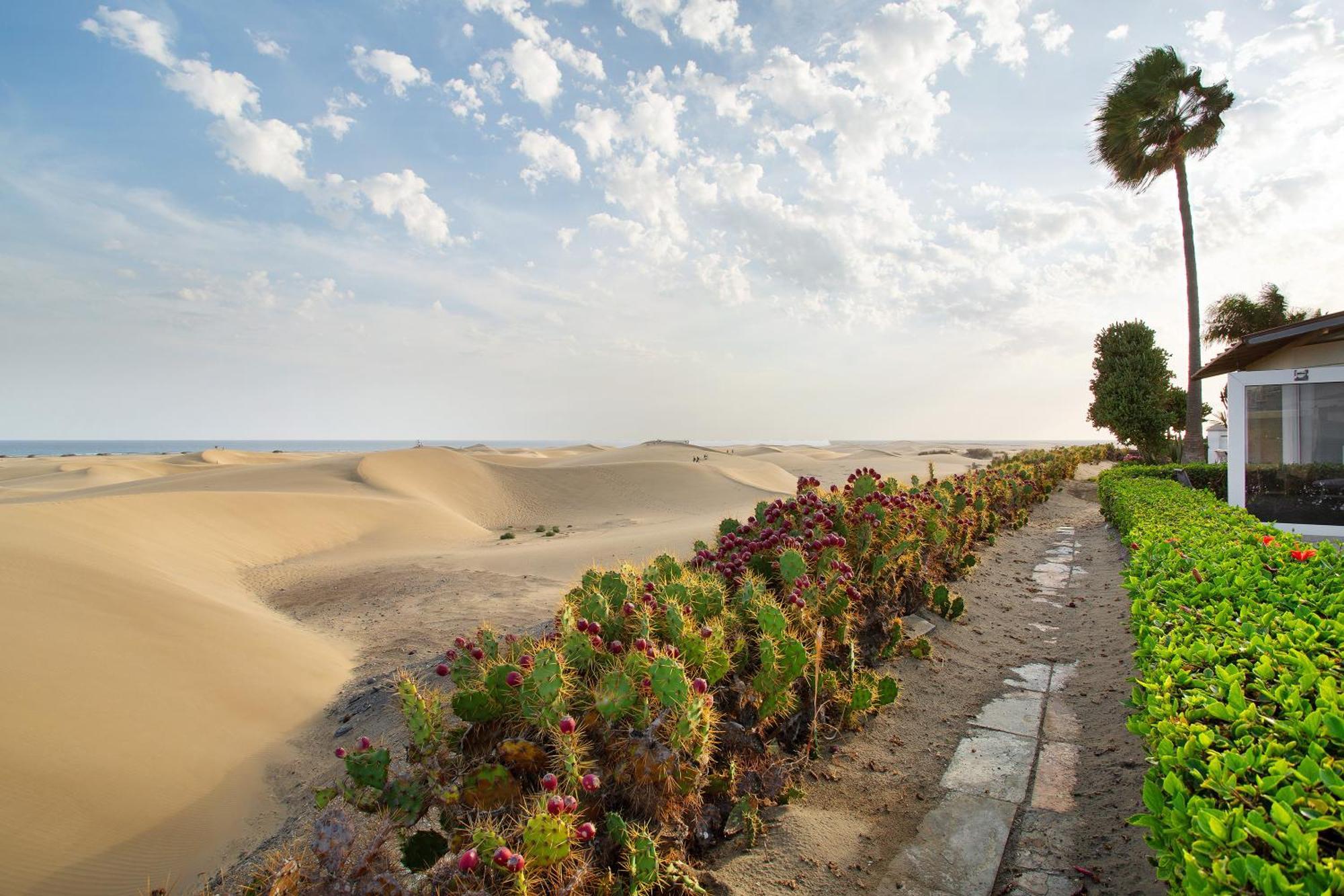 Dunas Maspalomas * Maspalomas (Gran Canaria)