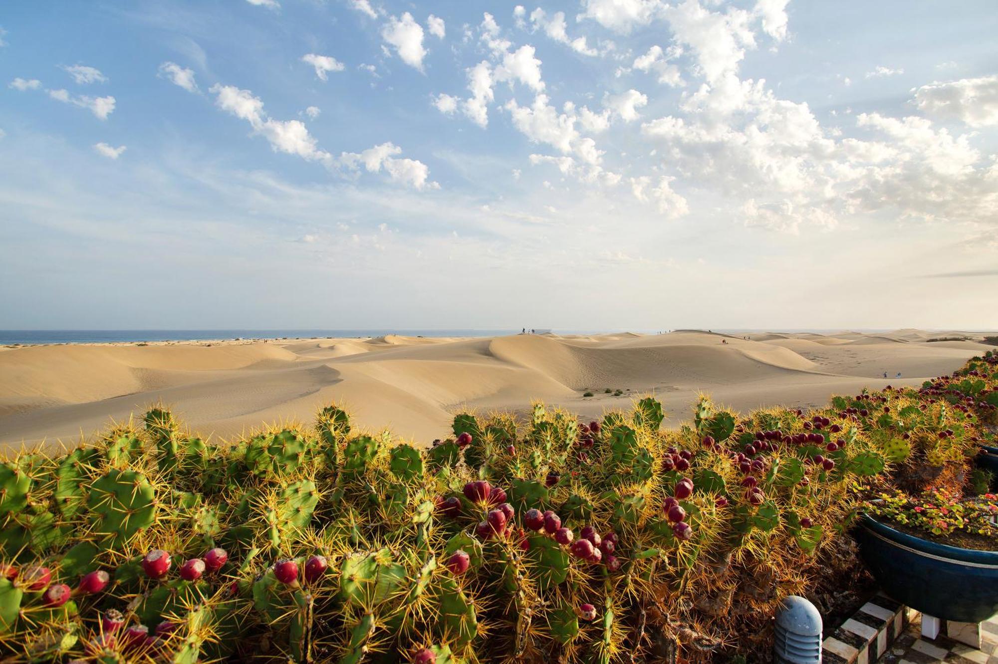 Dunas Maspalomas *