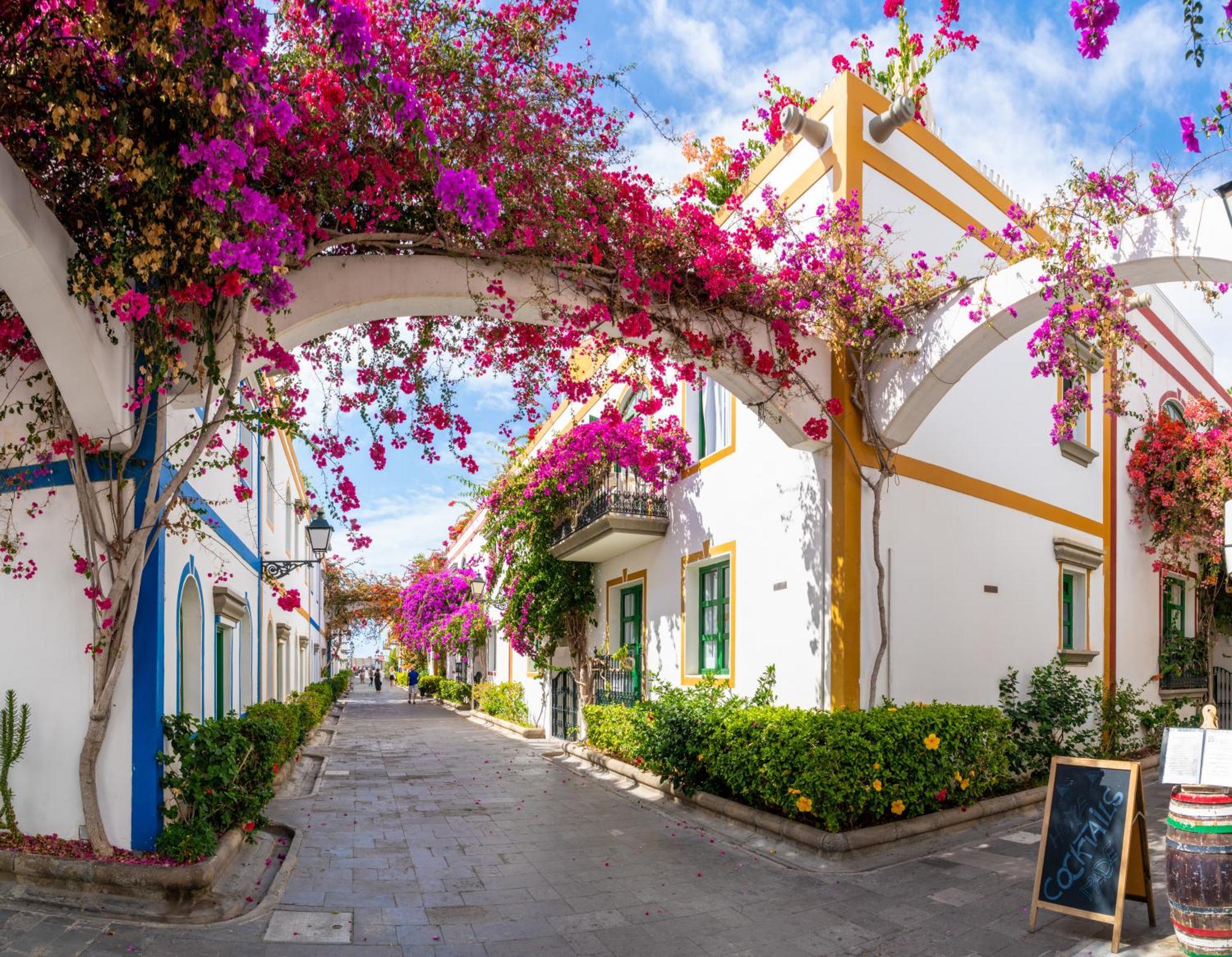 Sunny Atlantic Apartment Puerto De Mogan