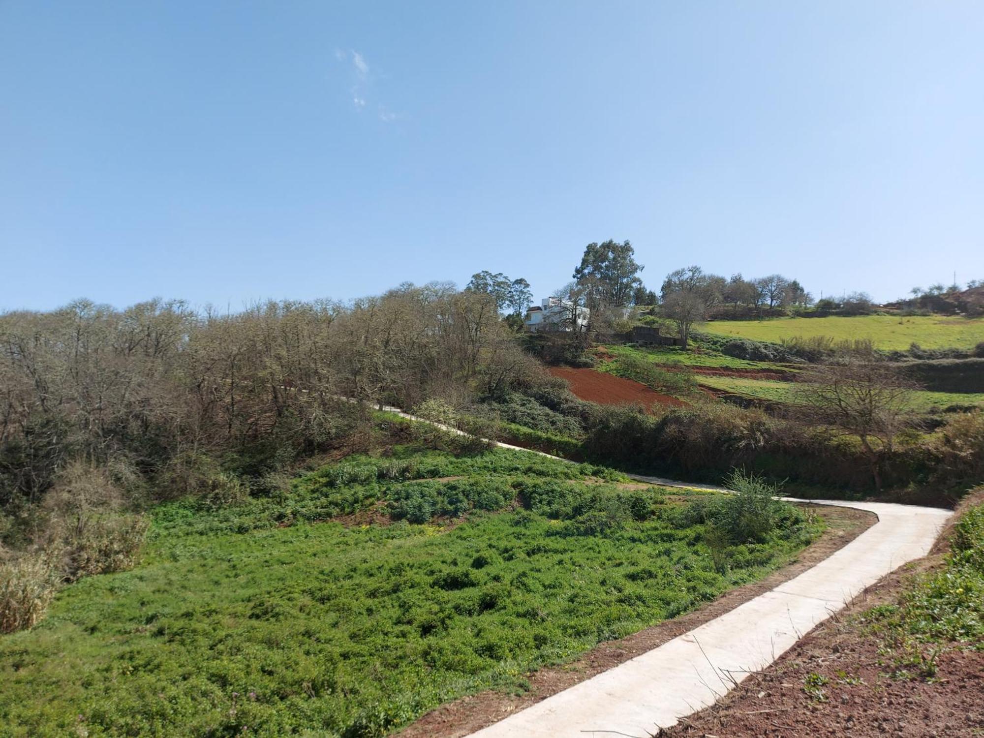 Naturacanaria Ferienhaus Moya (Gran Canaria)