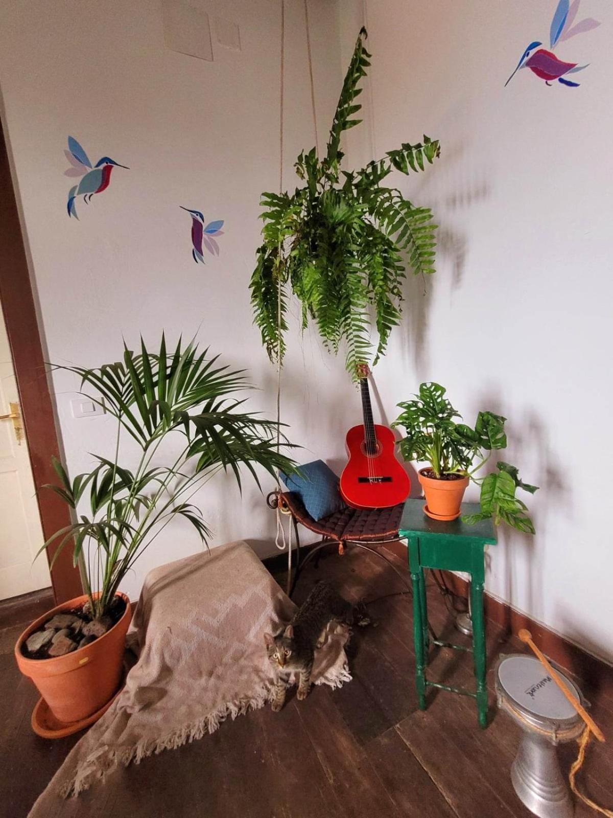 Acoran Family Guests House With Included Morning Yoga Practice Guest house Firgas