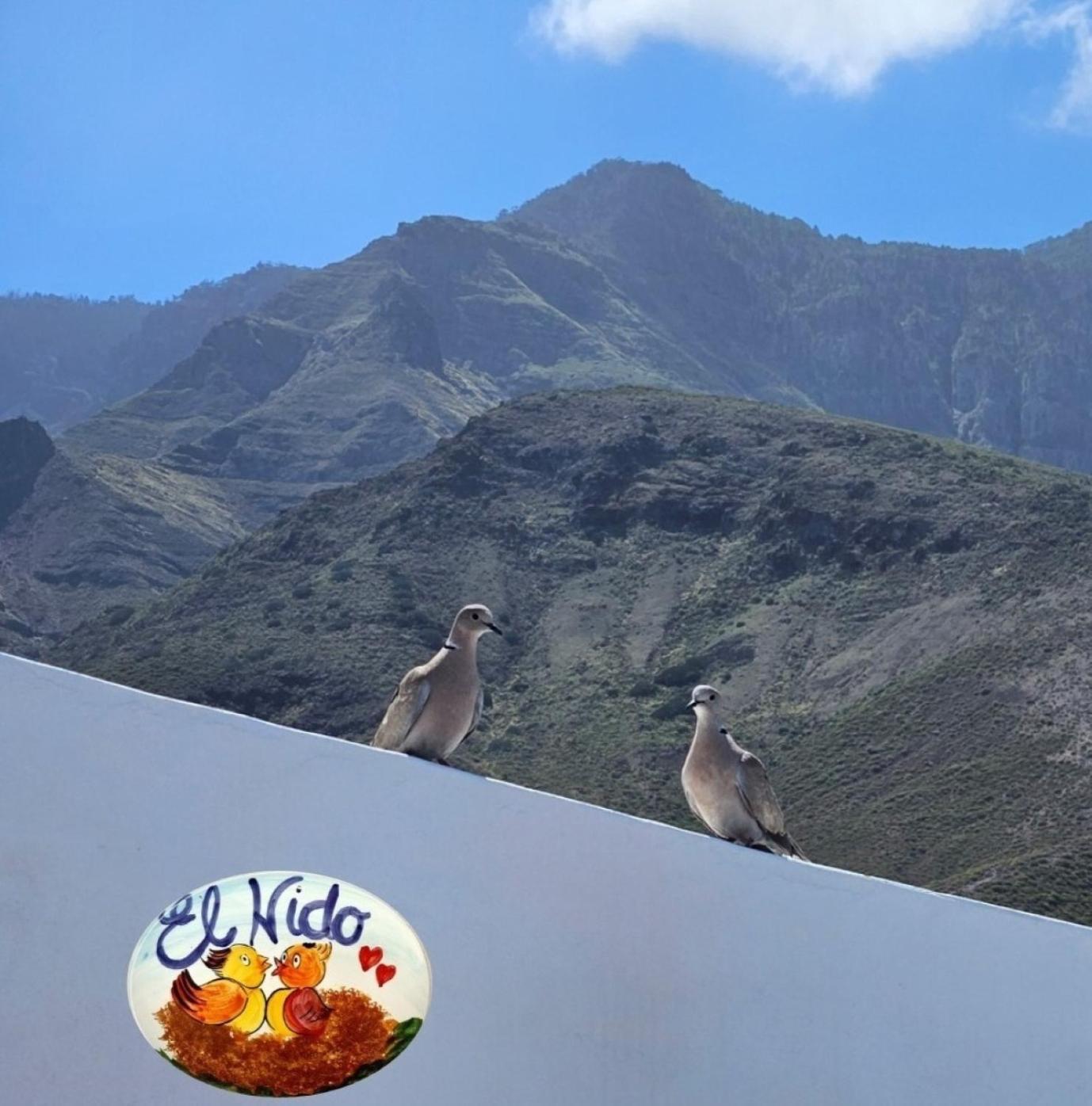 El Nido Agaete * Agaete (Gran Canaria)