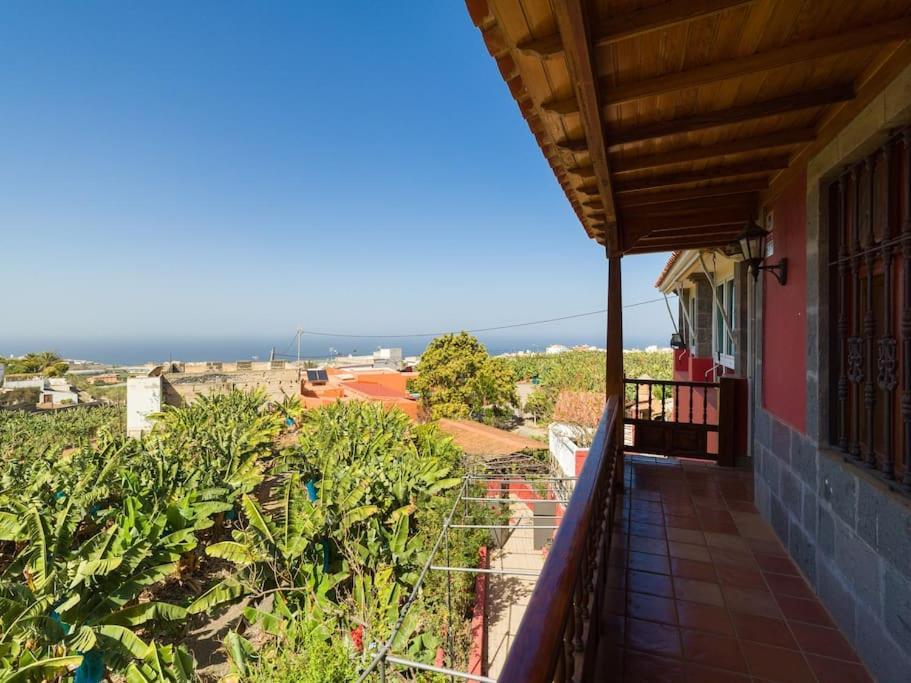 Villa With Pool And Sea Views In Banana Plantation Arucas