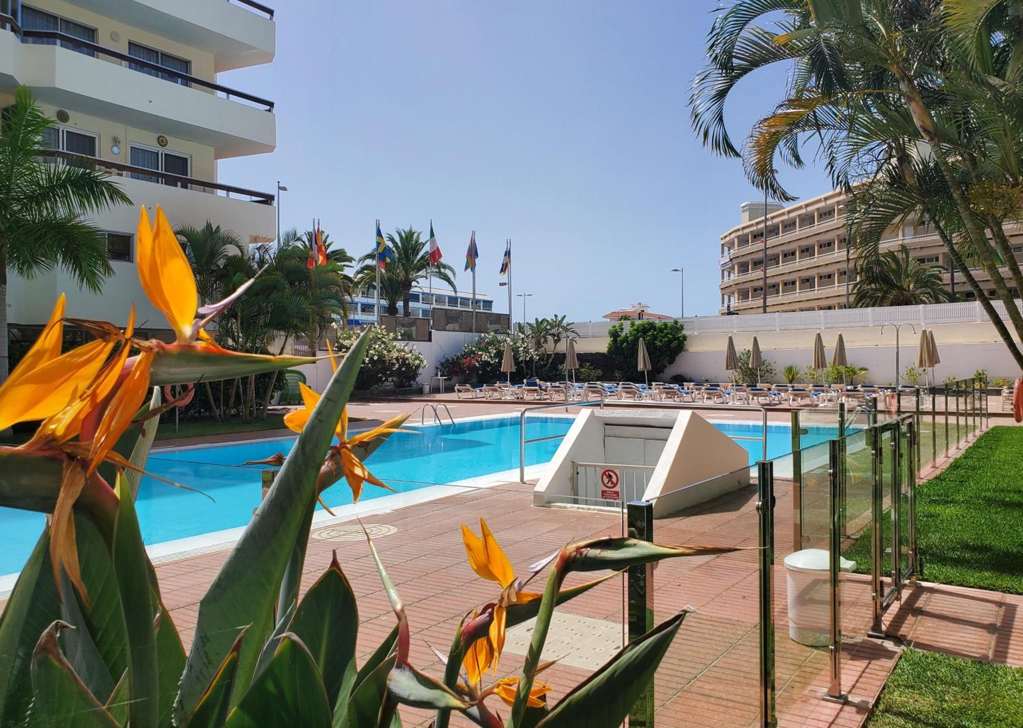 Camelias Aparthotel Playa del Ingles (Gran Canaria)
