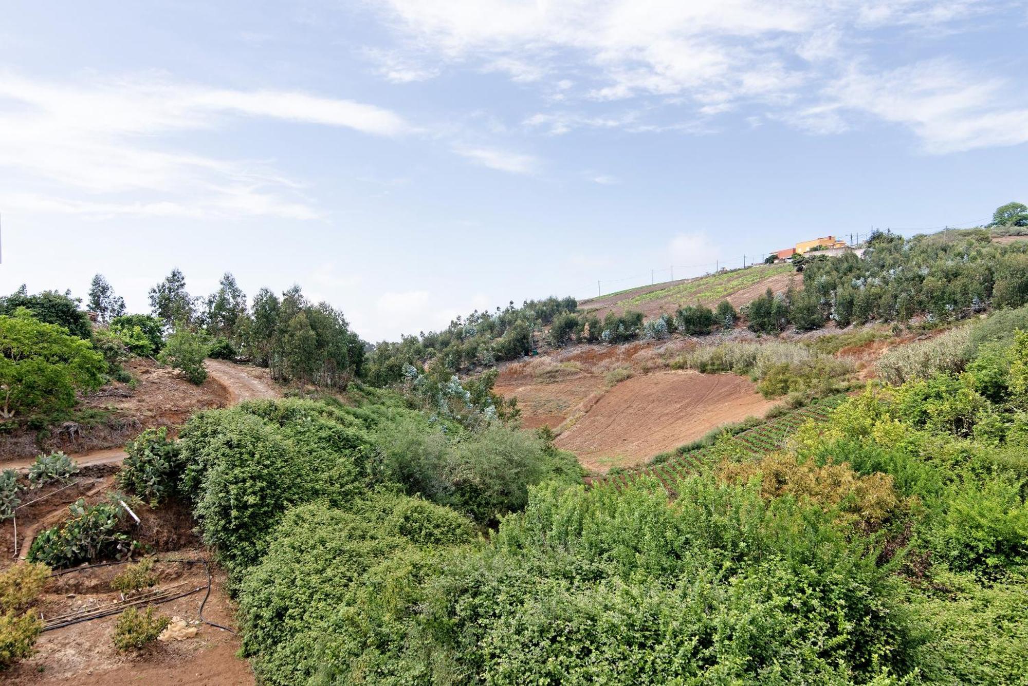 Villa Vv El Alpendre Moya (Gran Canaria)