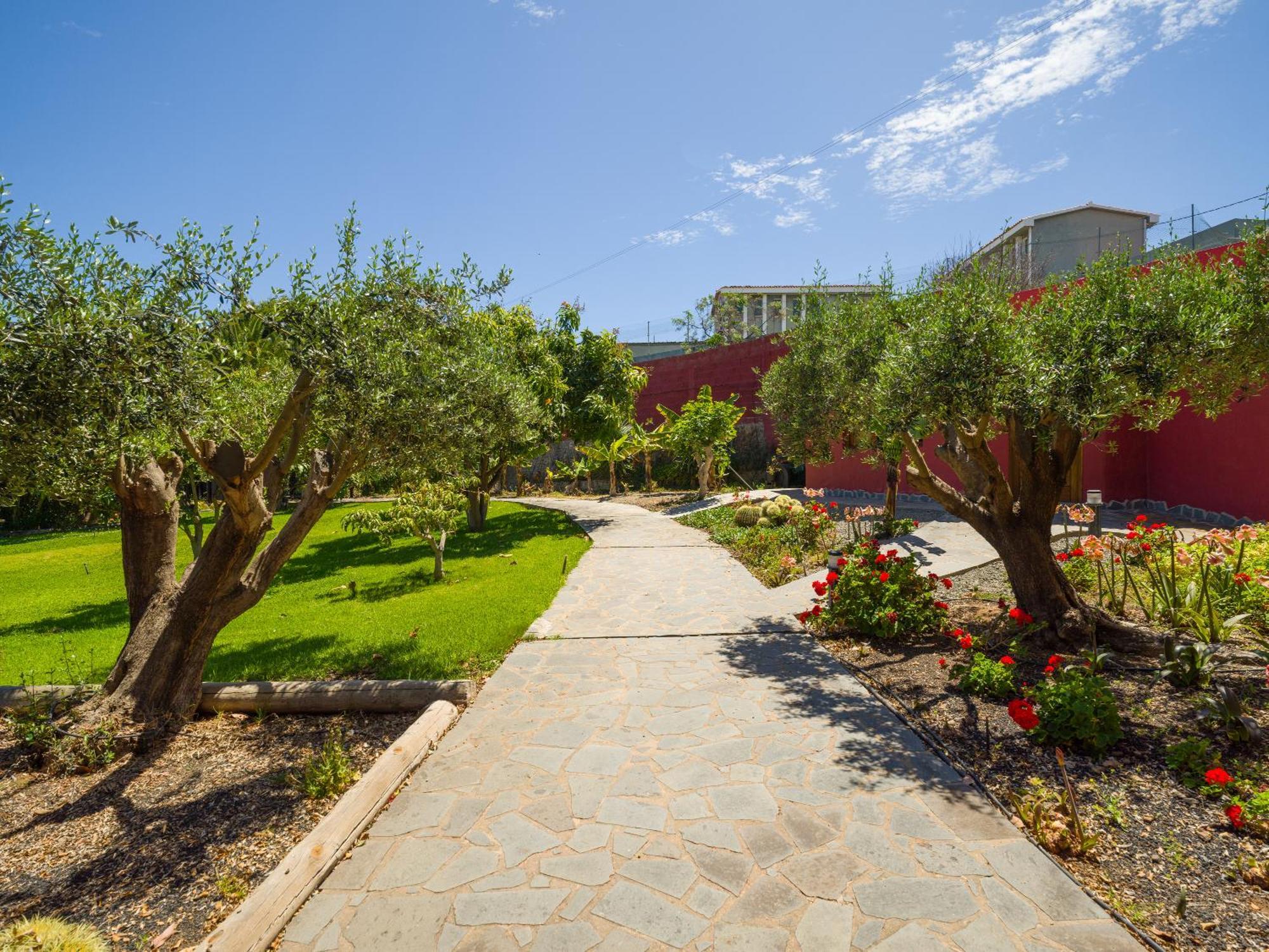 Villa With Pool And Sea Views In Banana Plantation *