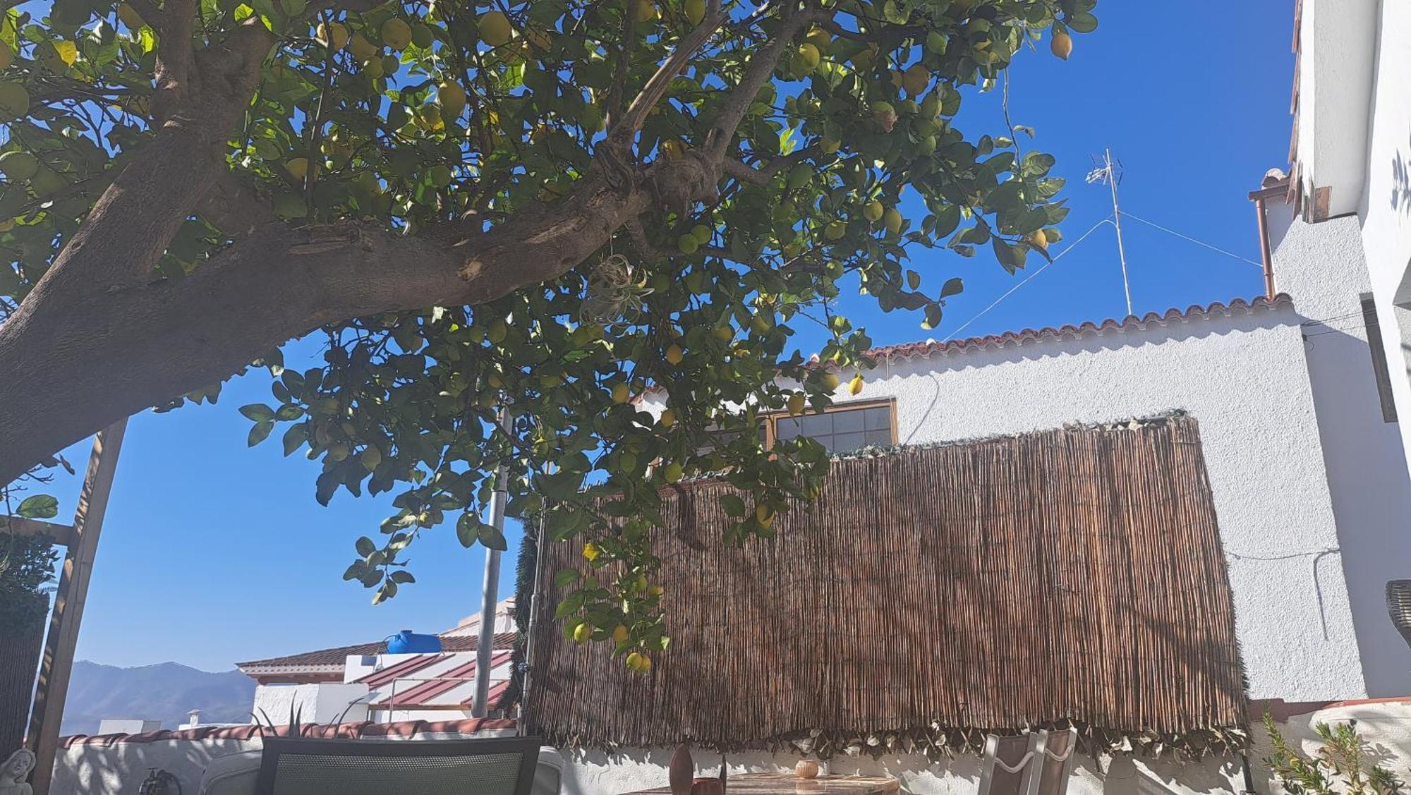 Casa Santana Segura * Tejeda (Gran Canaria)