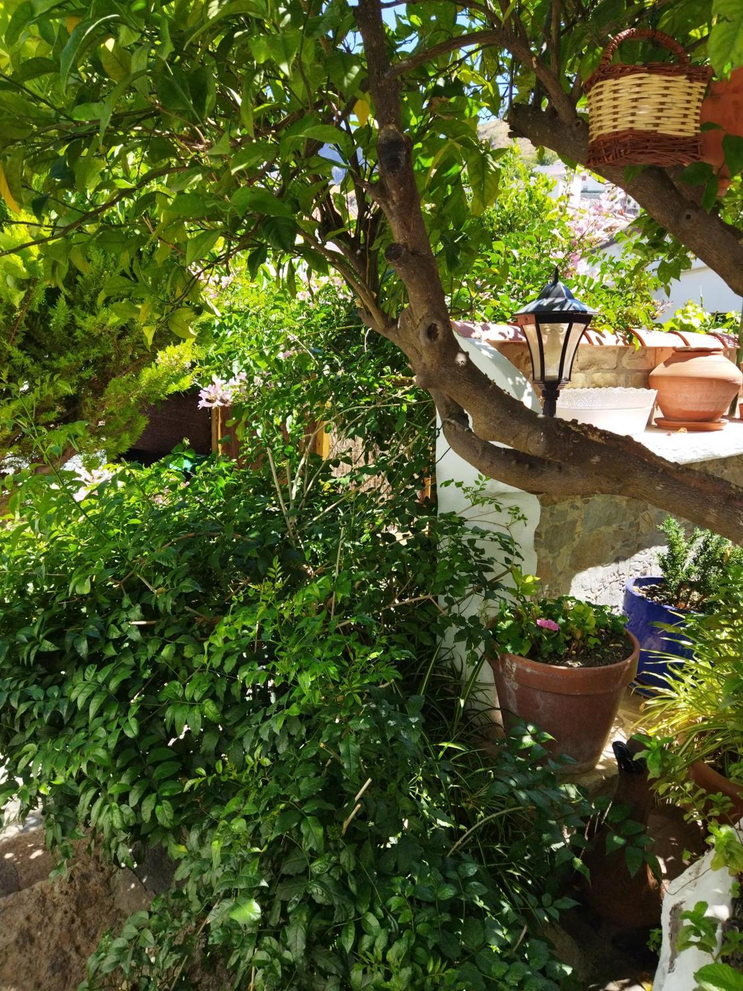 Landhaus Casa Santana Segura